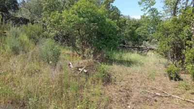 Rustic finca in Villanueva de La Vera photo 81