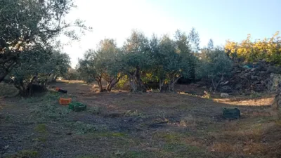 Rustic Finca in Villanueva de La Vera photo 35