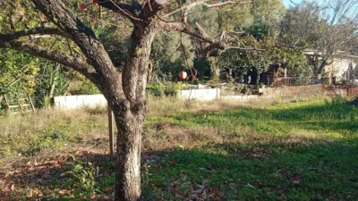 Rustic finca in Villanueva de La Vera photo 24