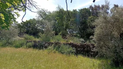 Rustic finca in Villanueva de La Vera photo 68