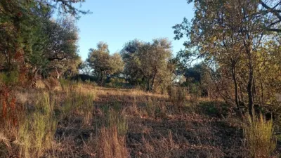 Rustic farm in Viandar de La Vera photo 31