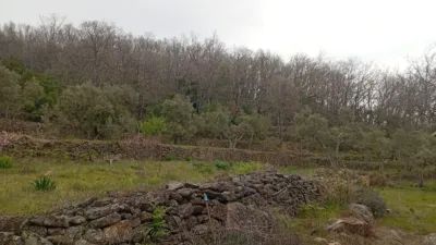 Rustic Finca in Valverde de La Vera photo 3