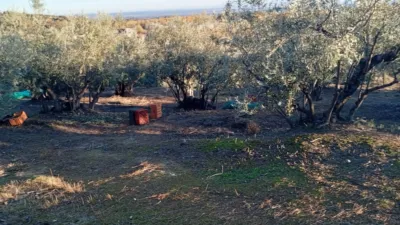 Rustic Finca in Villanueva de La Vera photo 72