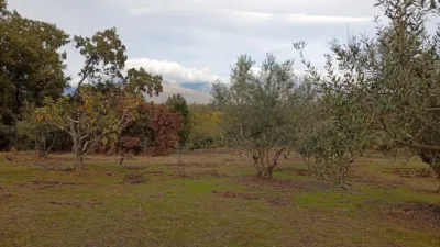 Rustic finca in Villanueva de La Vera photo 56