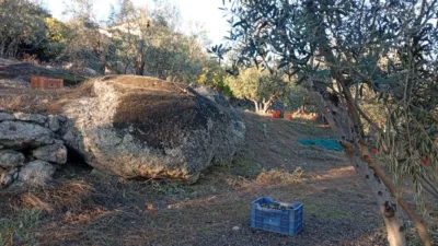 Rustic Finca in Villanueva de La Vera photo 47