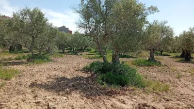 Rustic Finca in Villanueva de La Vera photo 24