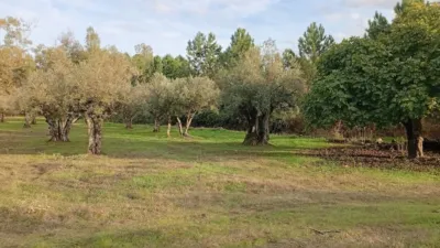 Rustic Finca in Villanueva de La Vera photo 3