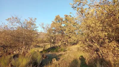 Rustic farm in Viandar de La Vera photo 35