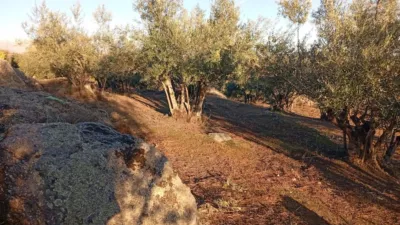 Rustic Finca in Villanueva de La Vera photo 51