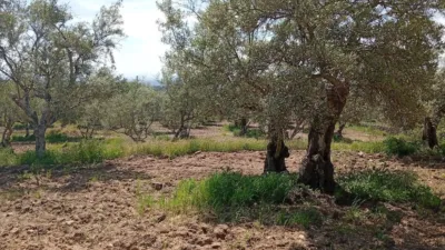 Rustic Finca in Villanueva de La Vera photo 17