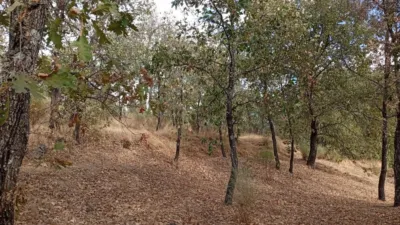 Rustic Finca in Villanueva de La Vera photo 11
