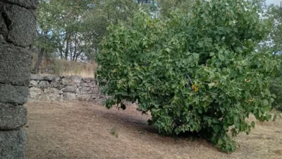 Rustic Finca in Villanueva de La Vera photo 57