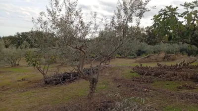 Rustic finca in Villanueva de La Vera photo 59