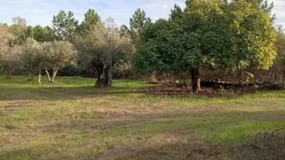 Rustic Finca in Villanueva de La Vera photo 36