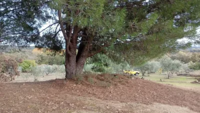Rustic finca in Villanueva de La Vera photo 47