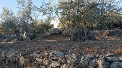 Rustic Finca in Villanueva de La Vera photo 5