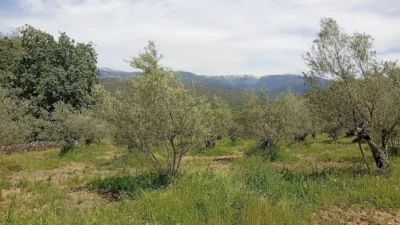 Rustic finca in Villanueva de La Vera photo 52