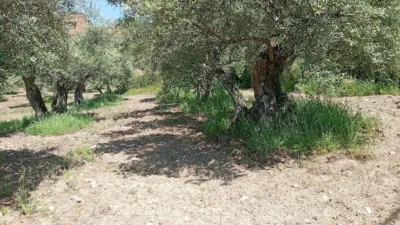Rustic Finca in Villanueva de La Vera photo 60