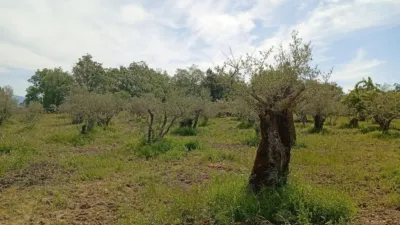 Rustic finca in Villanueva de La Vera photo 42