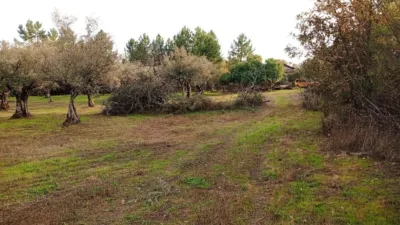 Rustic Finca in Villanueva de La Vera photo 22