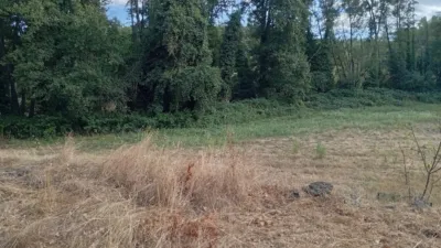 Rustic Finca in Villanueva de La Vera photo 56