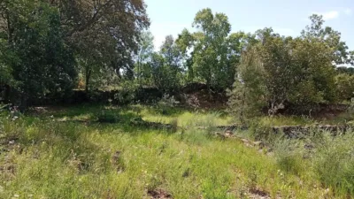 Rustic finca in Villanueva de La Vera photo 95