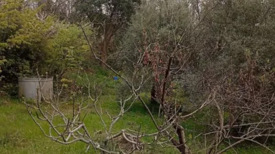 Rustic Finca in Valverde de La Vera photo 38