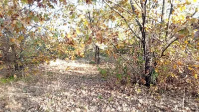 Rustic farm in Viandar de La Vera photo 28