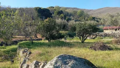 Rustic finca in Valverde de La Vera photo 5