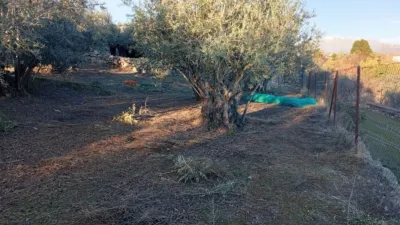 Rustic Finca in Villanueva de La Vera photo 41