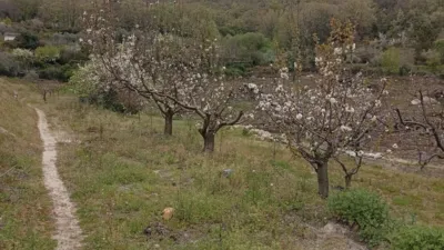 Rustic Finca in Villanueva de La Vera photo 49