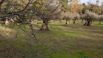 Rustic Finca in Villanueva de La Vera photo 17