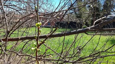 Rustic farm in Madrigal de La Vera photo 18