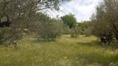 Rustic finca in Villanueva de La Vera photo 57