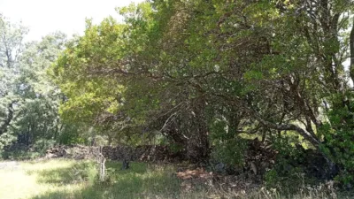 Rustic finca in Villanueva de La Vera photo 101