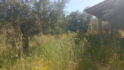 Chalet in Villanueva de La Vera photo 34
