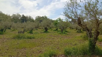 Rustic finca in Villanueva de La Vera photo 45