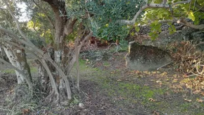 Rustic Finca in Villanueva de La Vera photo 70