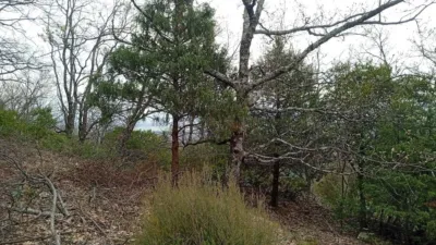Rustic Finca in Valverde de La Vera photo 17