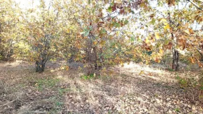 Rustic farm in Viandar de La Vera photo 29