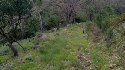 Rustic Finca in Valverde de La Vera photo 109