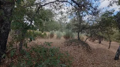 Rustic Finca in Villanueva de La Vera photo 108