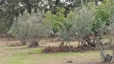 Rustic finca in Villanueva de La Vera photo 10