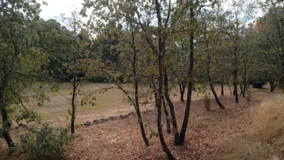 Rustic Finca in Villanueva de La Vera photo 26