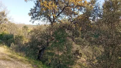 Finca rústica en Villanueva de La Vera photo 24