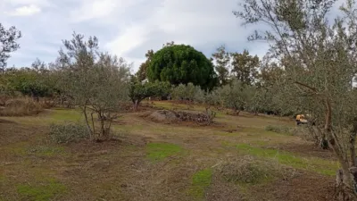 Rustic finca in Villanueva de La Vera photo 29