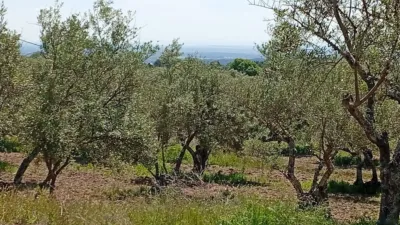 Rustic Finca in Villanueva de La Vera photo 19