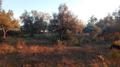 Rustic farm in Viandar de La Vera photo 10