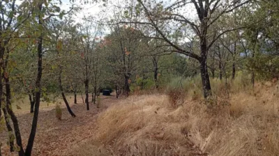 Rustic Finca in Villanueva de La Vera photo 27