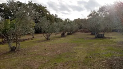 Rustic finca in Villanueva de La Vera photo 17